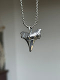 Large Shark Tooth Pendant (no stone) MTO